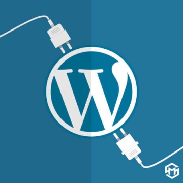 WordPress Plugin Development — WordPress Services