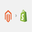 Magento to Shopify